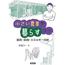 Amazon.co.jp: 小さいエネルギーで暮らすコツ: 太陽光・水力・薪&炭で